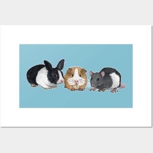 Dwarf rabbit, guinea pig and rat Posters and Art
